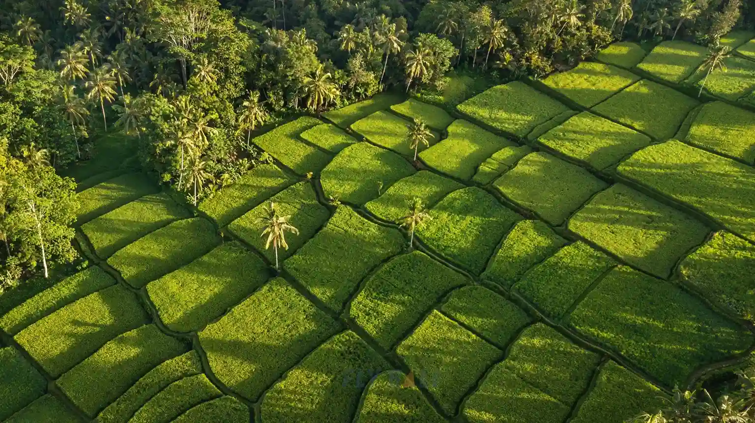 Ubud